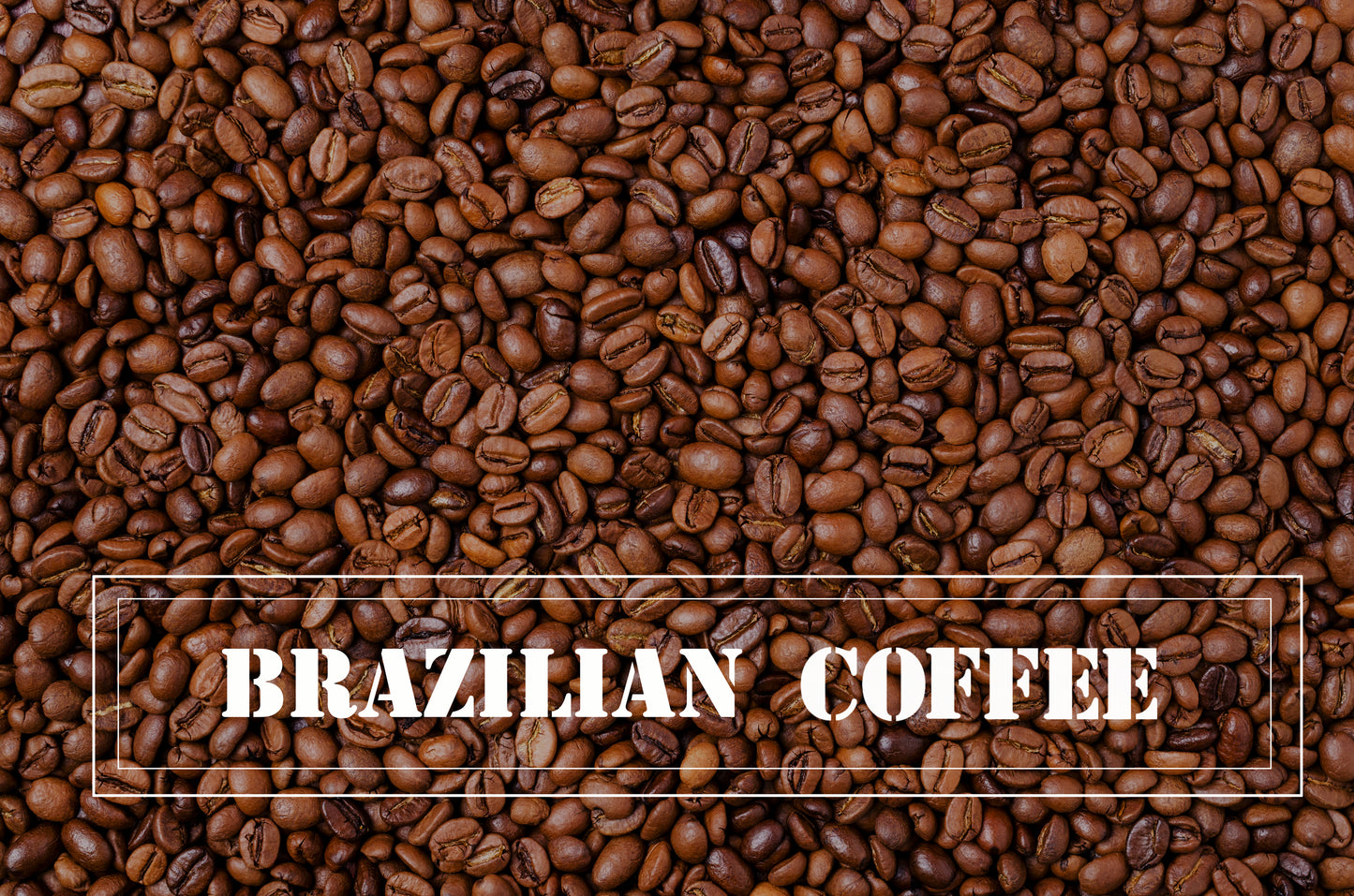 100% Brazilian, 10 OZ - Beantiful Coffee Company